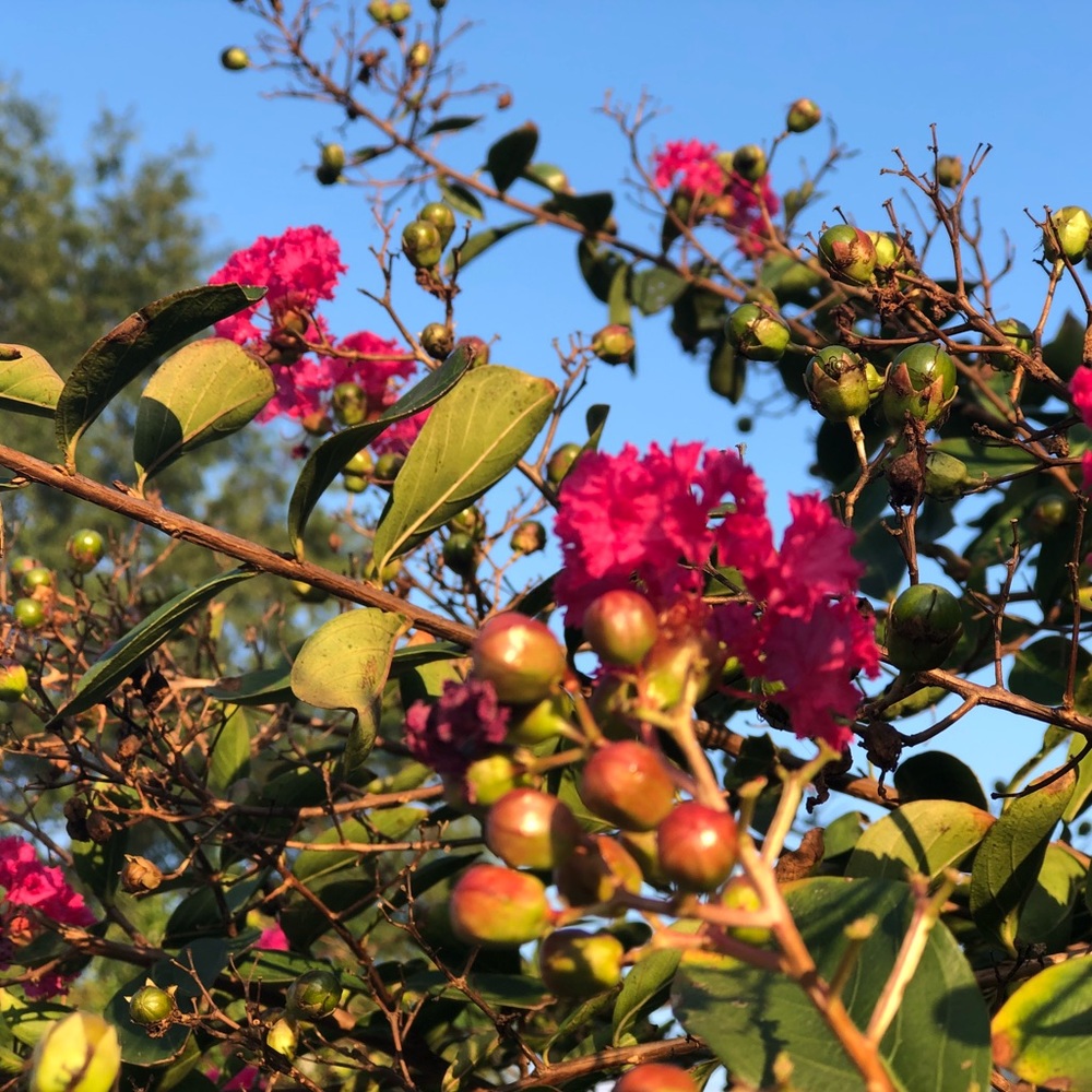 Meet your Posher, Summer